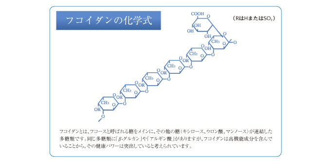 フコイダンの化学式 硫酸化多糖類の高分子。フコイダンとは、フコース、硫酸化フコースと呼ばれる糖をメインに、その他の糖(キシロース、ウロン酸、マンノース)が連結した多糖類です。同じ多糖類に「β-グルカン」や「アルギン酸」がありますが、フコイダンは「硫酸基」と呼ばれる高機能成分を含んでいることから、その健康パワーは突出していると考えられています。